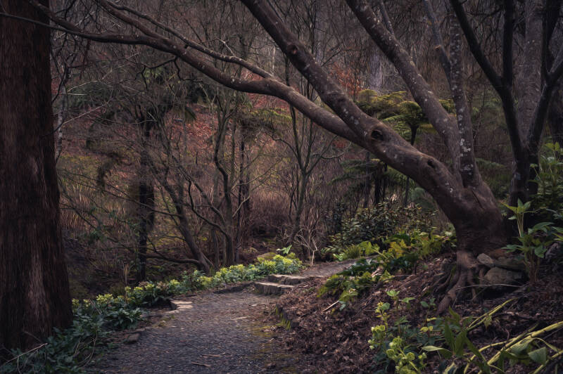 2181-da-mt-lofty-path-standard.jpg