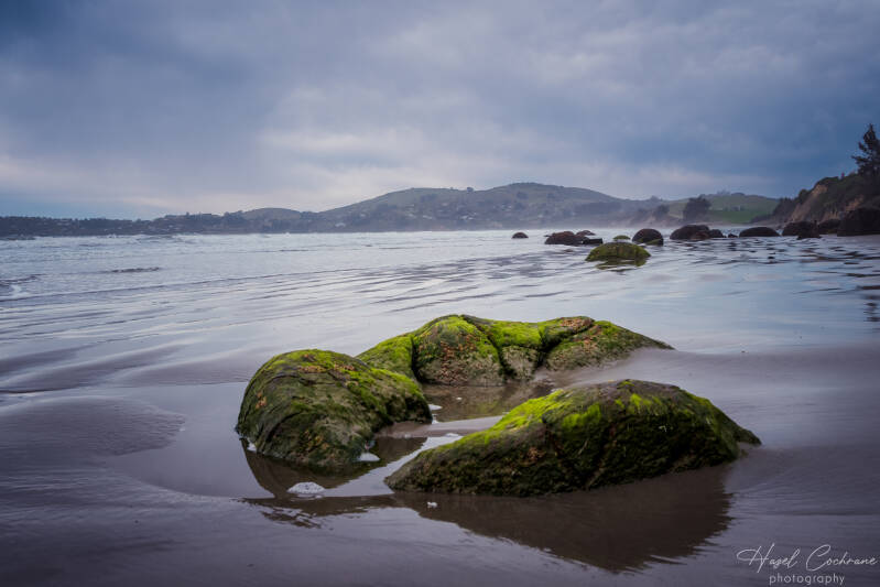 Moeraki Boulders