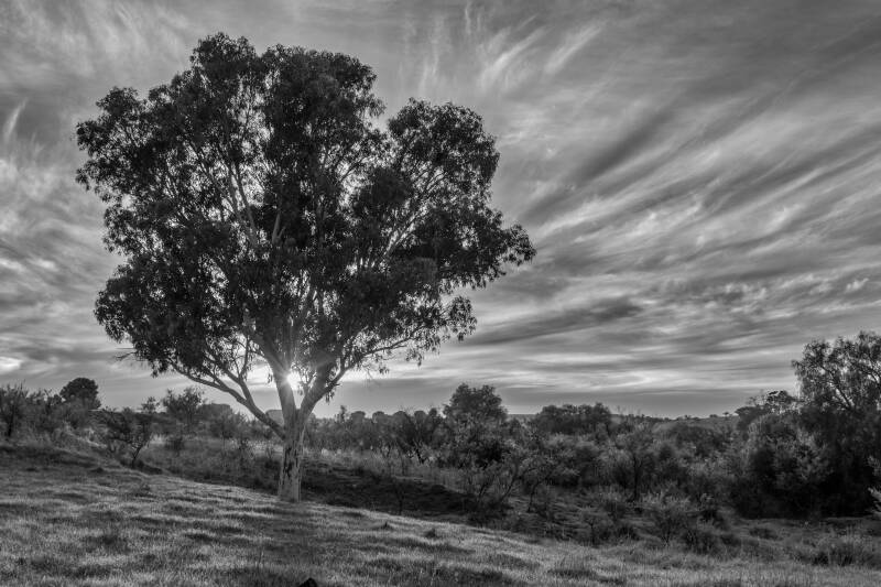 Calm before the Storm