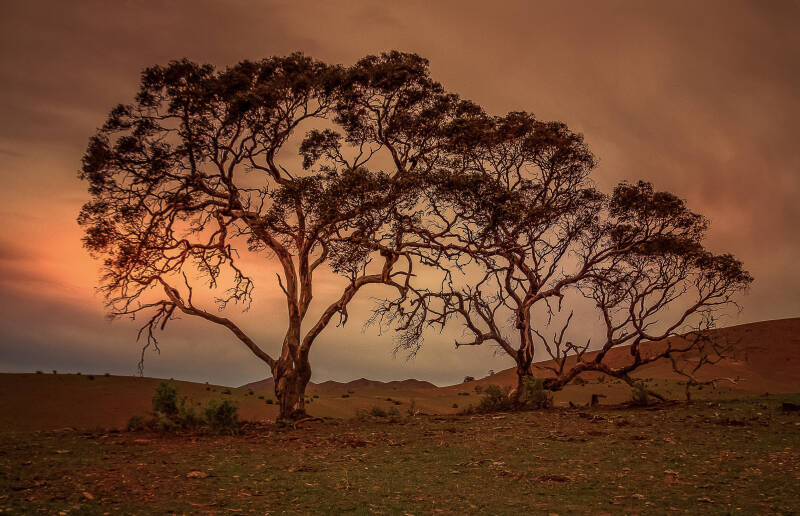 Enduring the Elements