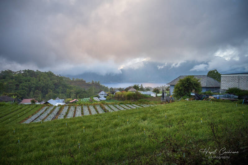bali-village-4462-standard-x2412b.jpg