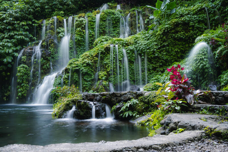 Bali Pond