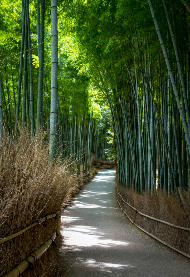 DG Bamboo Lane