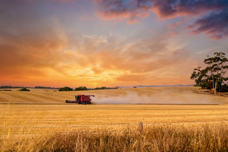 Harvest in Eudunda