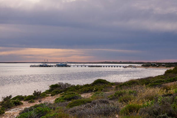 Last Catch of the Day