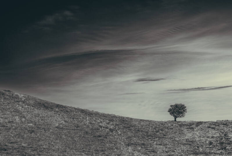 Solitude in the Outback