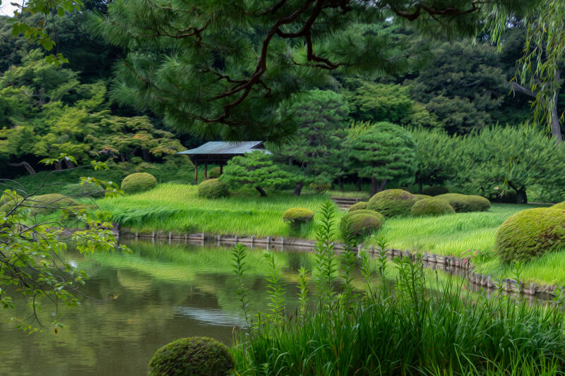DG Japanese Garden