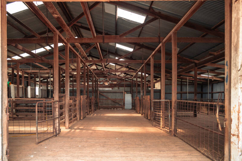 Silence in the Shearing Shed
