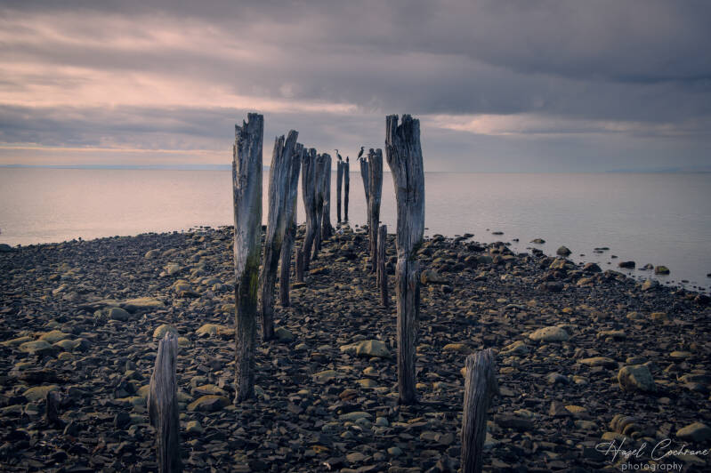 Old Jetty