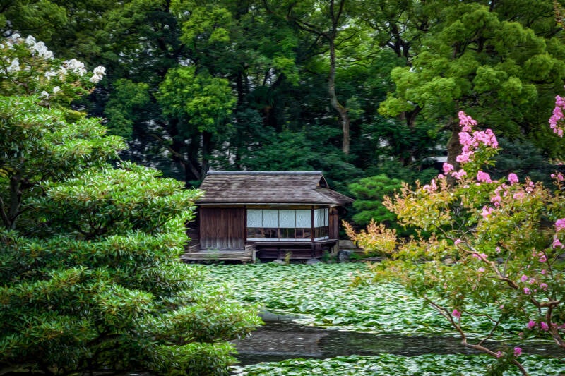 DG Peaceful Gardens