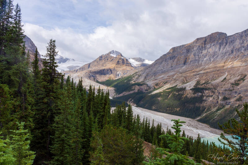 Road to Jasper