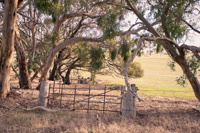 rural-standard.jpg