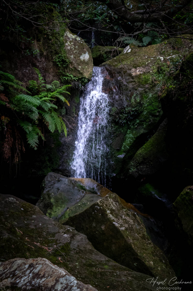 Tiny Waterfall Blue Mountains