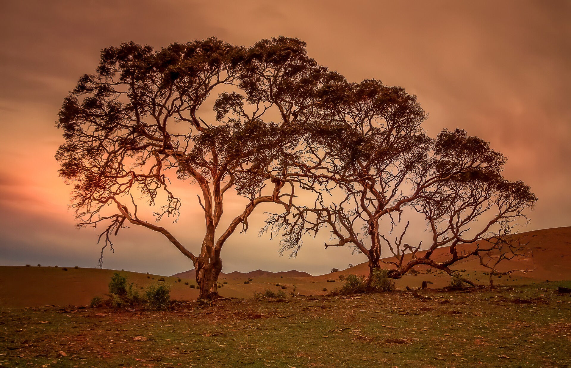 Enduring the Elements