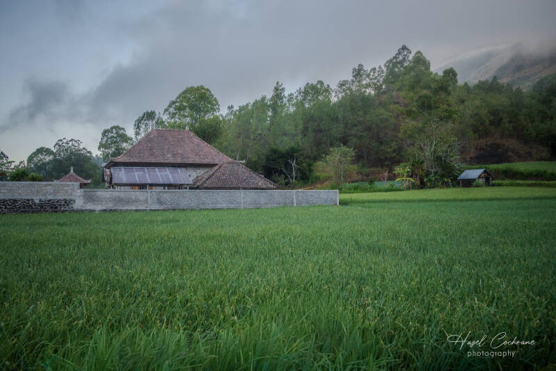 vbali-huts-4443-standard-cxnfhz.jpg