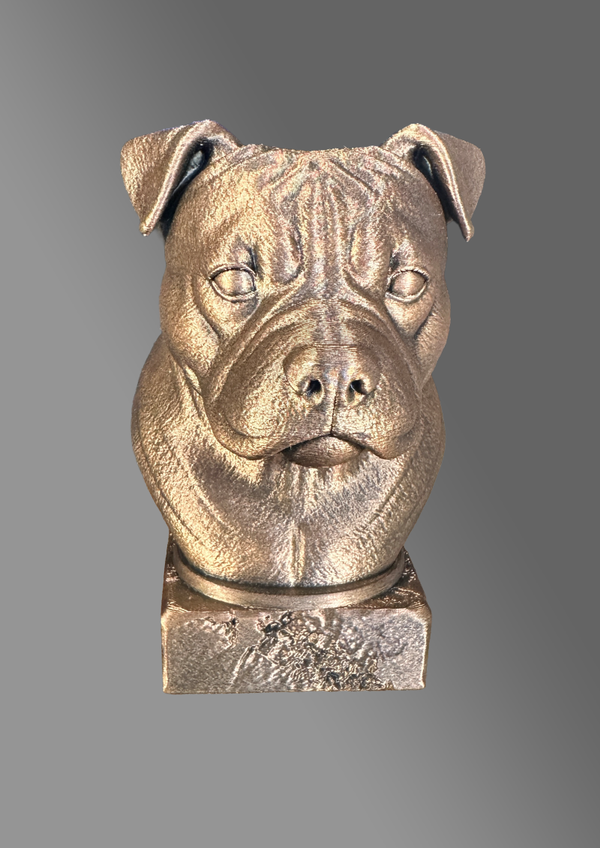 Amerikaanse Bulldog met Natuurlijke Oren