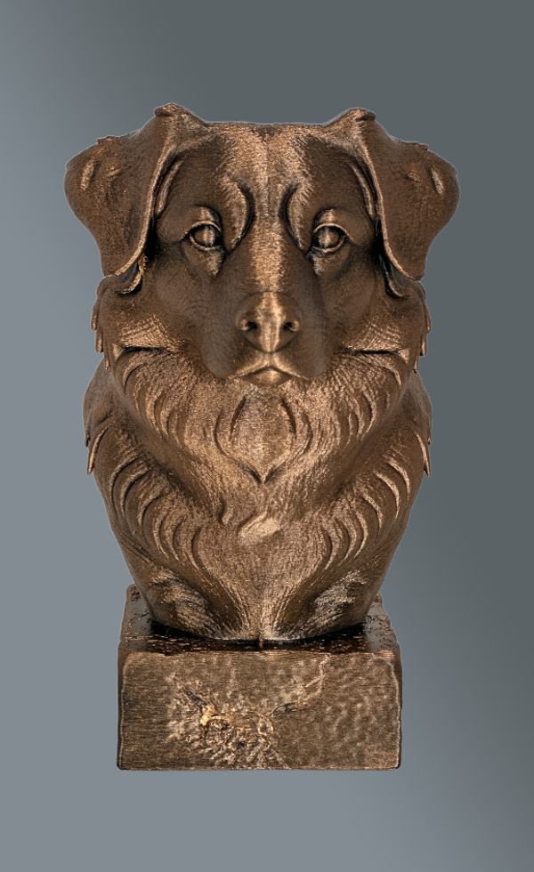 De Australische Herdershond