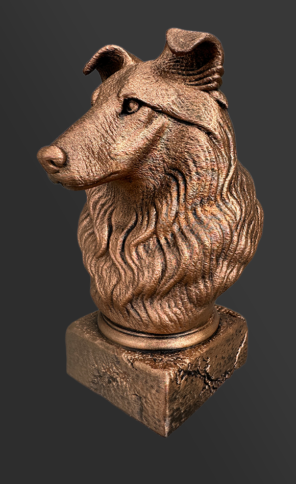 Schotse herdershond of Collie