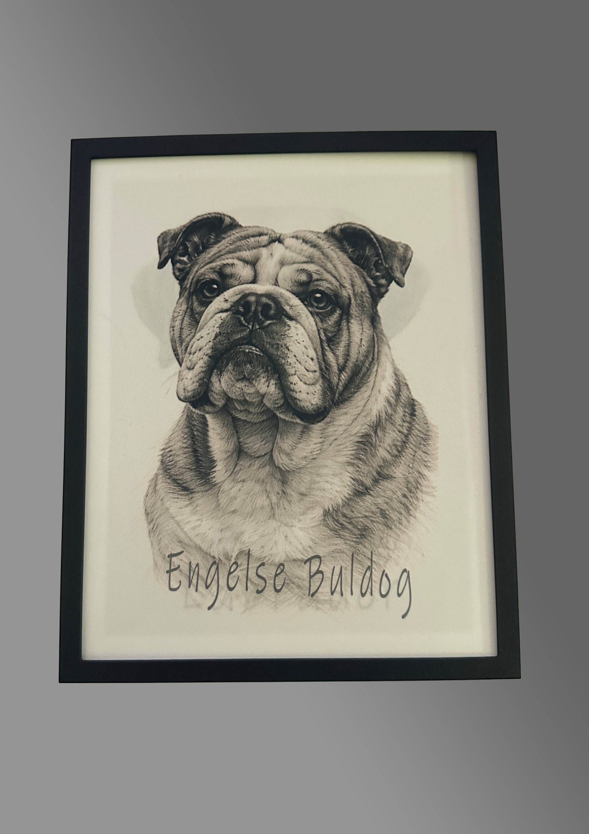 Engelse buldog  op doek