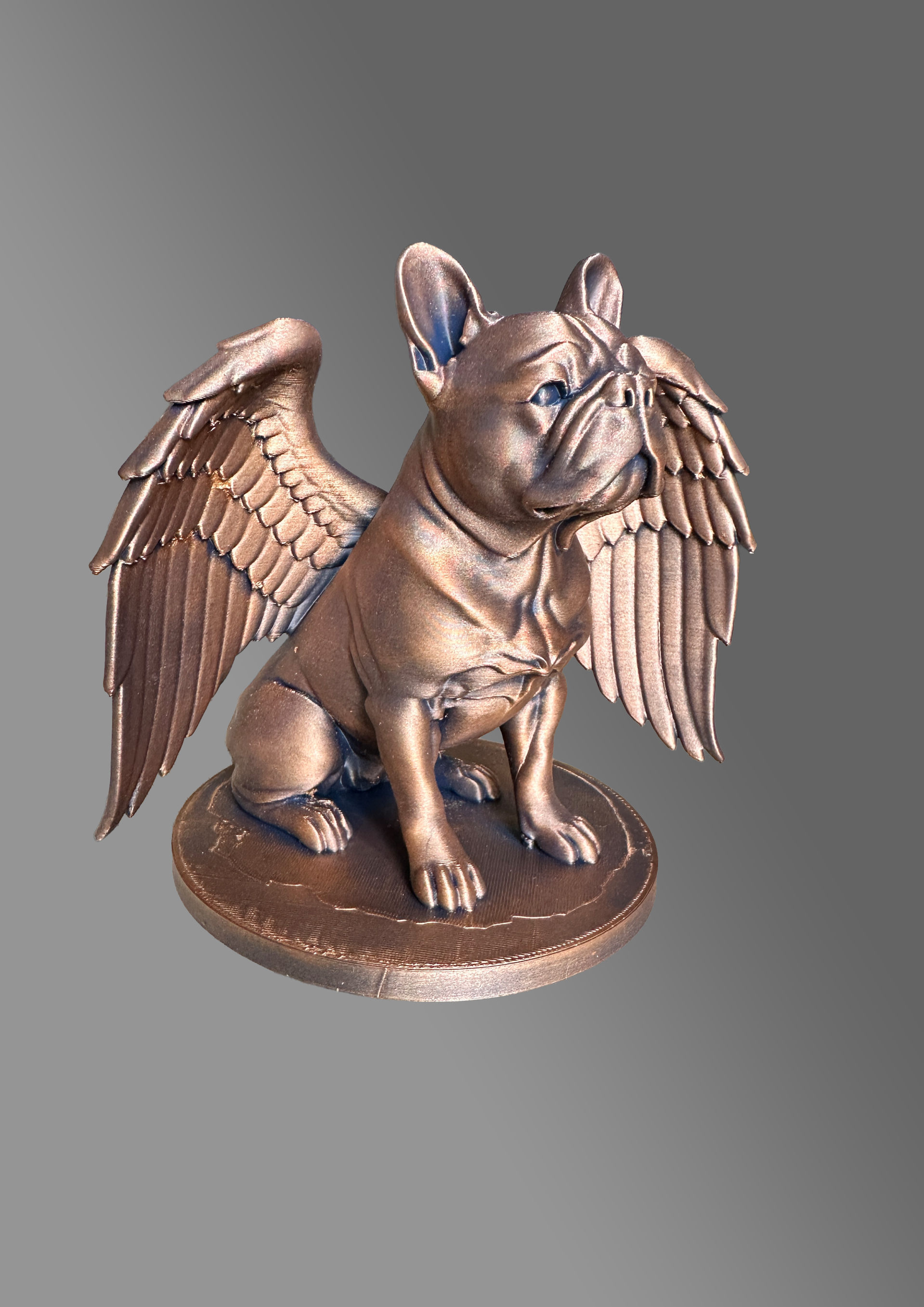 Bescherm Engel Franse Bulldog