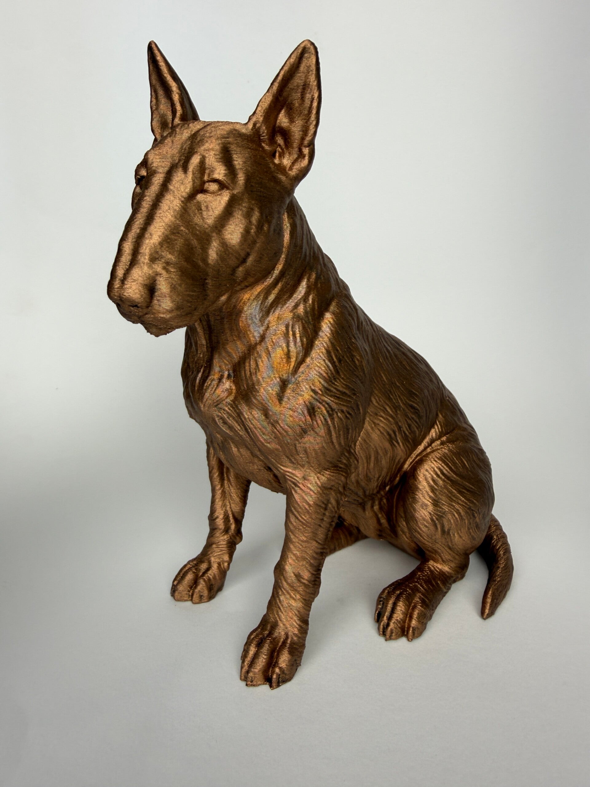 Bull terrier