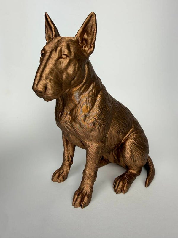 Bull terrier