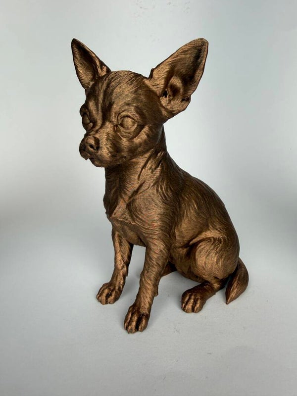 Chihuahua zittend