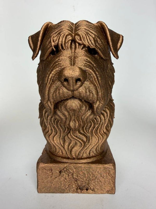 Bouvier