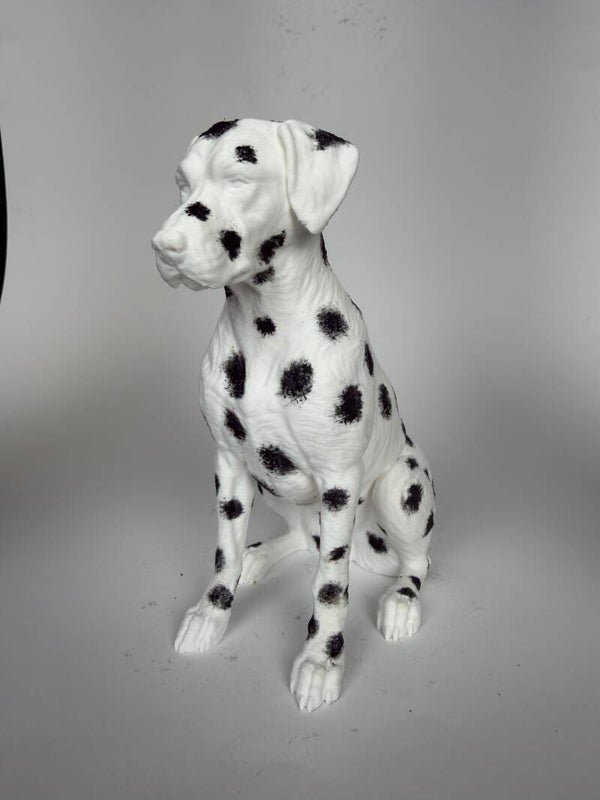 Dalmatier