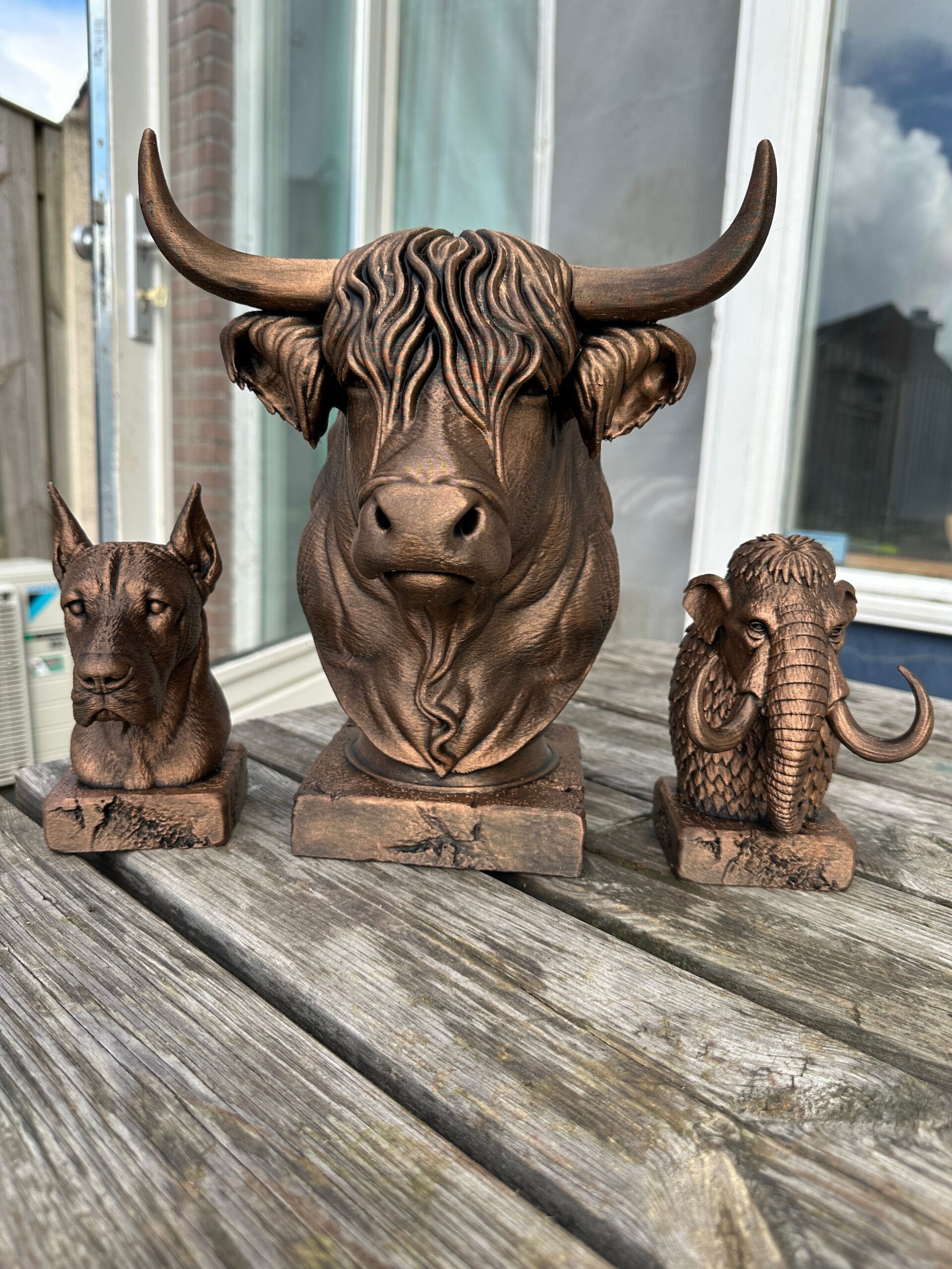 Gebronsde Schotse Hooglander