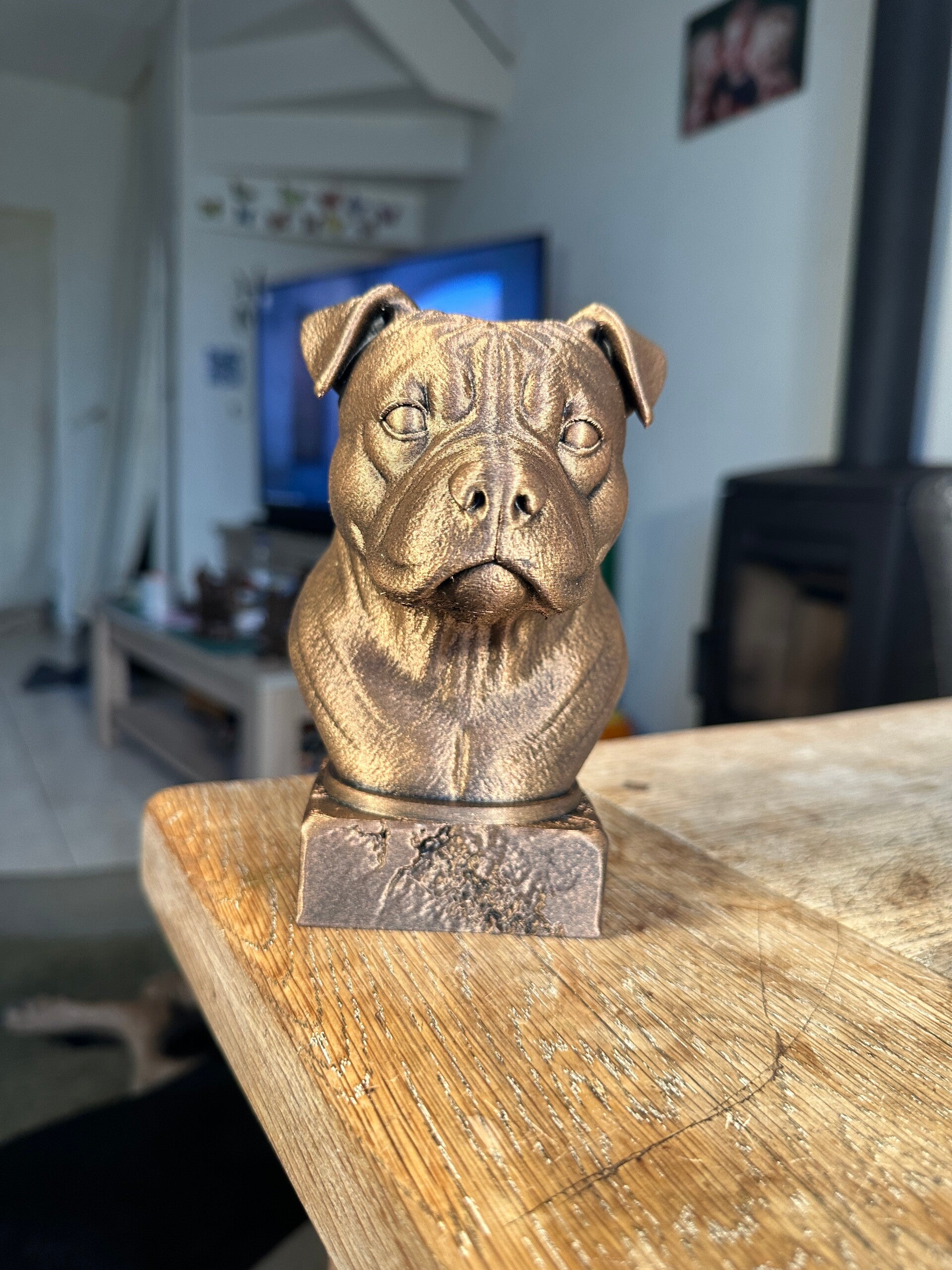 American Bully natural ears