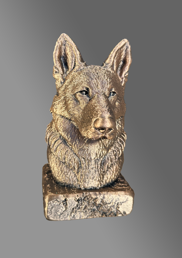 Lang Harige Duitse Herder