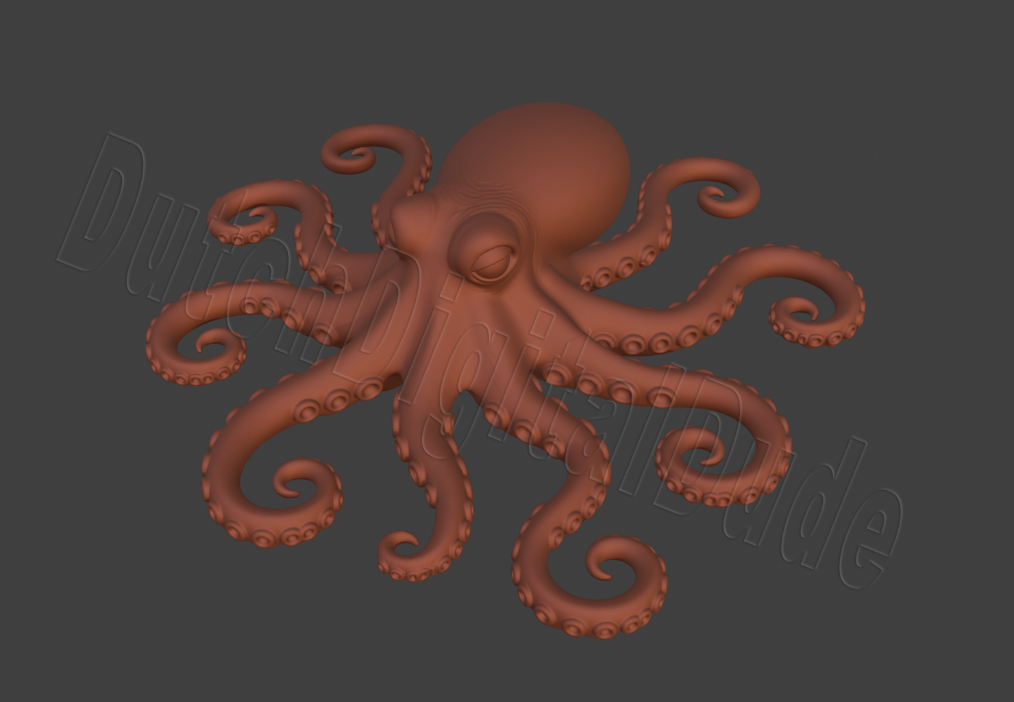 Octopus3D