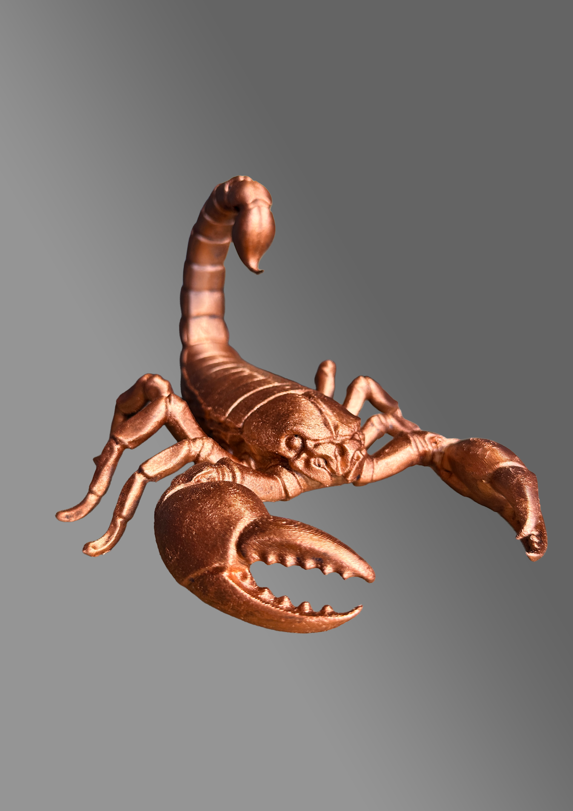 De Schorpioen Scorpio