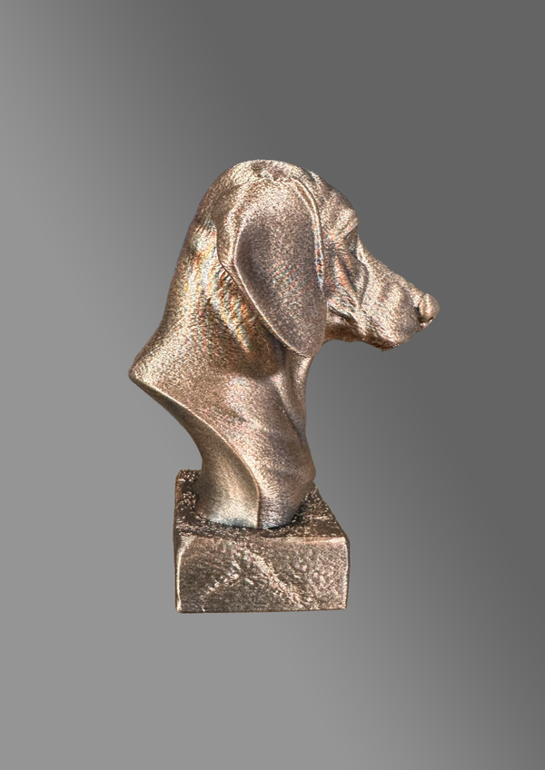 De Teckel, Dachshund