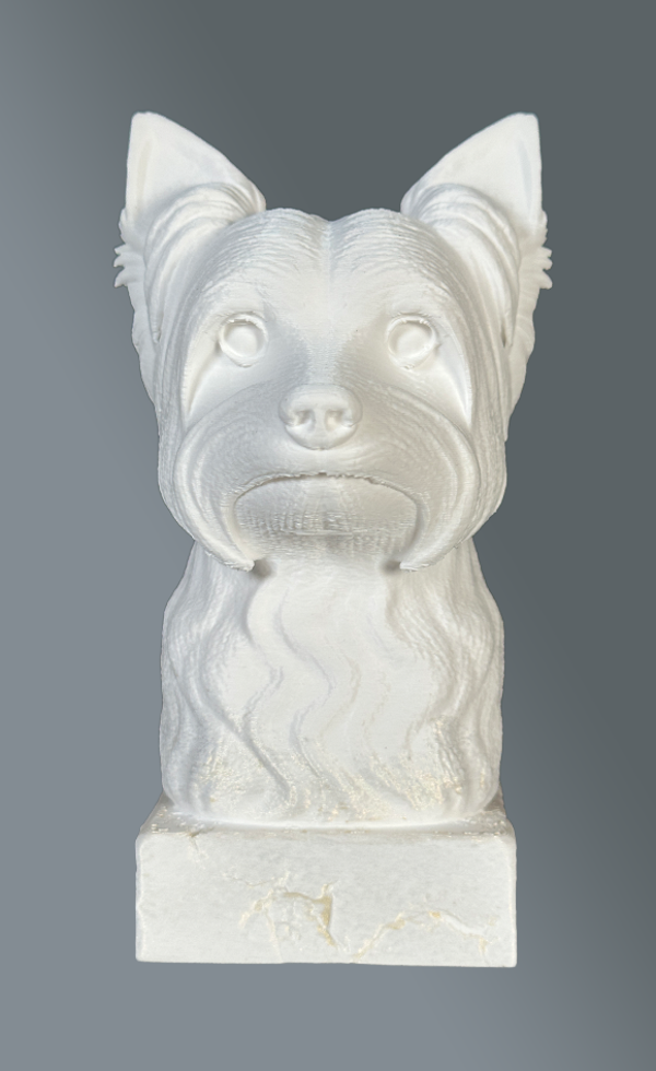 De Yorkshire Terrier