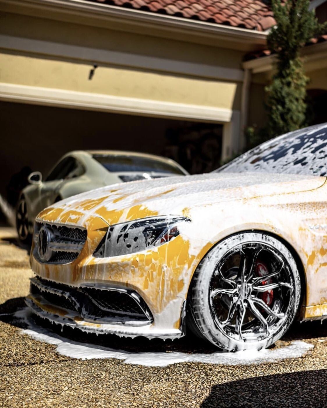 Pro Detail