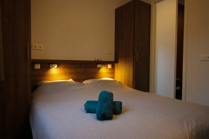 belties-15-standard-o31euy.jpg