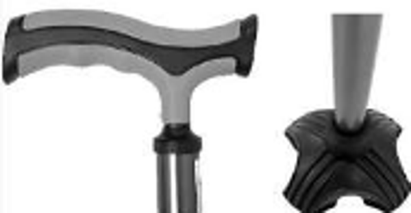 Termigea bastone da passeggio TR20