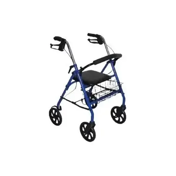 Roller Pieghevole RO10 in Acciaio Blu con 4 Ruote e Sedile Termigea