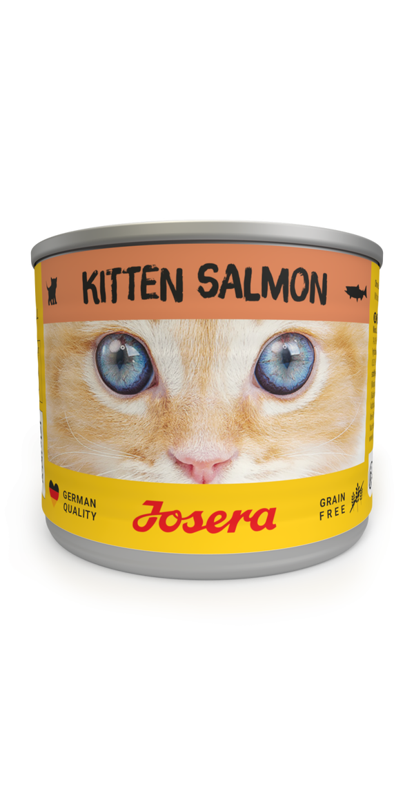 JOSERA BOÎTES DE PATÉE AU SAUMON POUR CHATONS