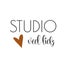 Studio veelliefz.nl
