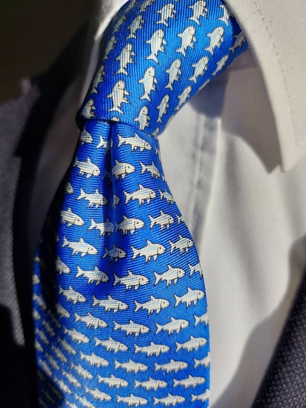 Abertura Blue fish