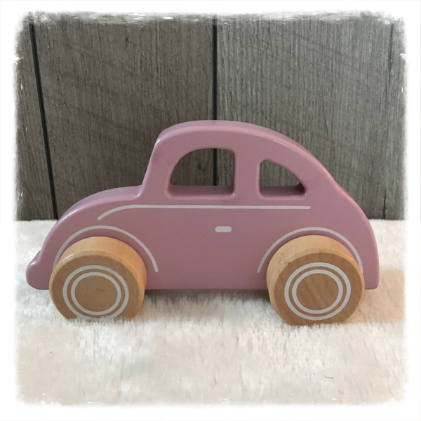 Little Dutch Beetle