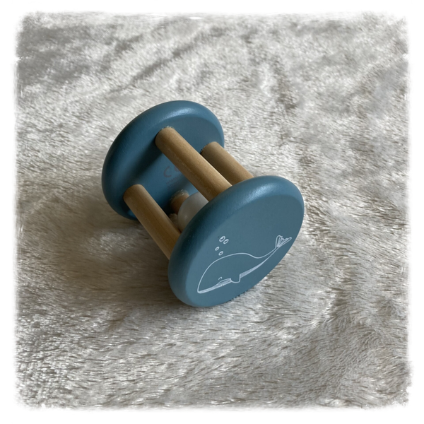 Little Dutch rammelaar roller Ocean