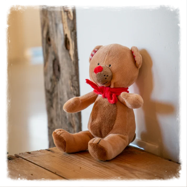 Fien en Teun Knuffel Meneer Beer Klein