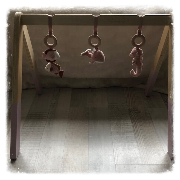 Little Dutch Babygym roze