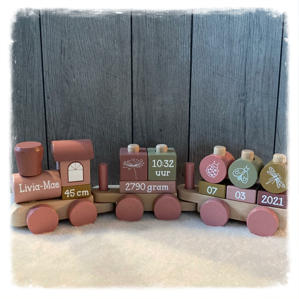 Little Dutch treintje meisje