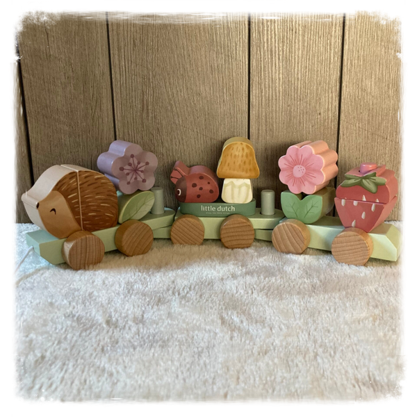 Little Dutch Fairy Garden Blokkentrein Egel