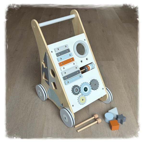 Tryco Activiteiten loopwagen (met naam)